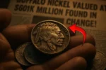 The Buffalo Nickel Worth $601K: A Rare Coin Still in Circulation